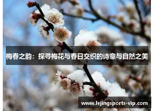 梅春之韵：探寻梅花与春日交织的诗意与自然之美